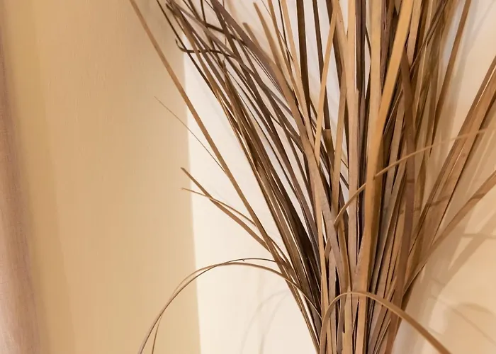 Apartment Evdokia's And Néos Marmarás