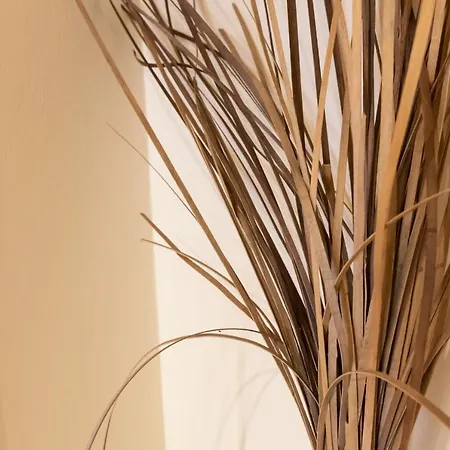 아파트 Evdokia's And 네오스마르마라스